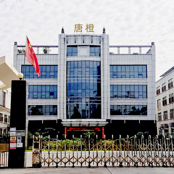 Chine Guangzhou Tangcheng Technology Co., Ltd. Profil de la société
